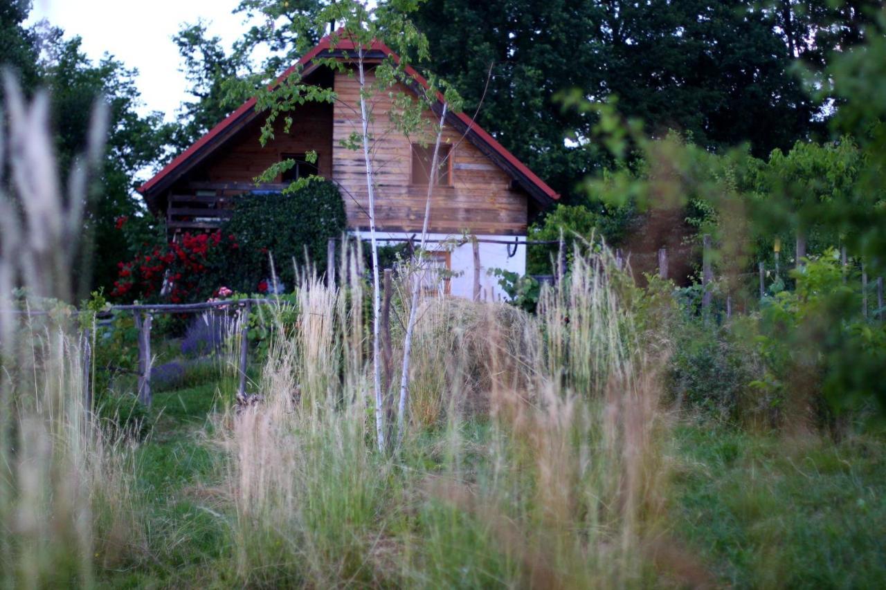 Holiday Home Trnavsko Bagonya Kültér fotó
